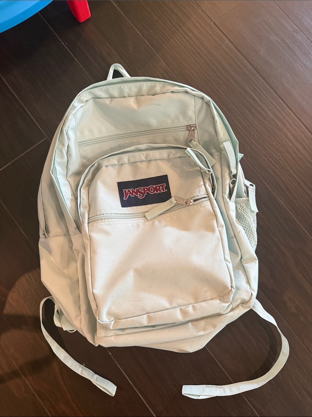 JanSport Mint Green Backpack